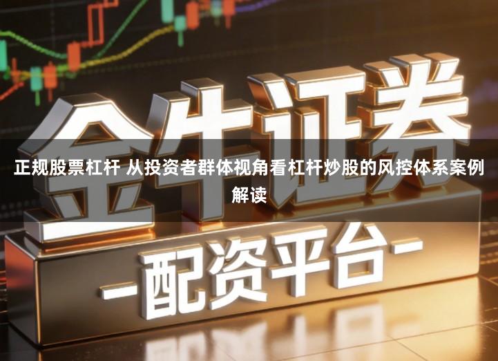 正规股票杠杆 从投资者群体视角看杠杆炒股的风控体系案例解读
