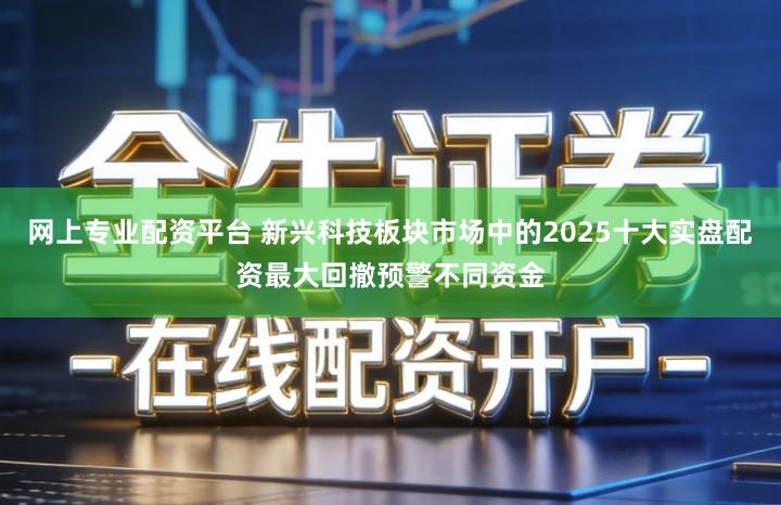 网上专业配资平台 新兴科技板块市场中的2025十大实盘配资最大回撤预警不同资金