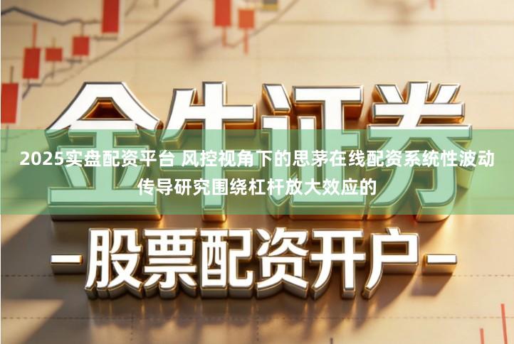 2025实盘配资平台 风控视角下的思茅在线配资系统性波动传导研究围绕杠杆放大效应的
